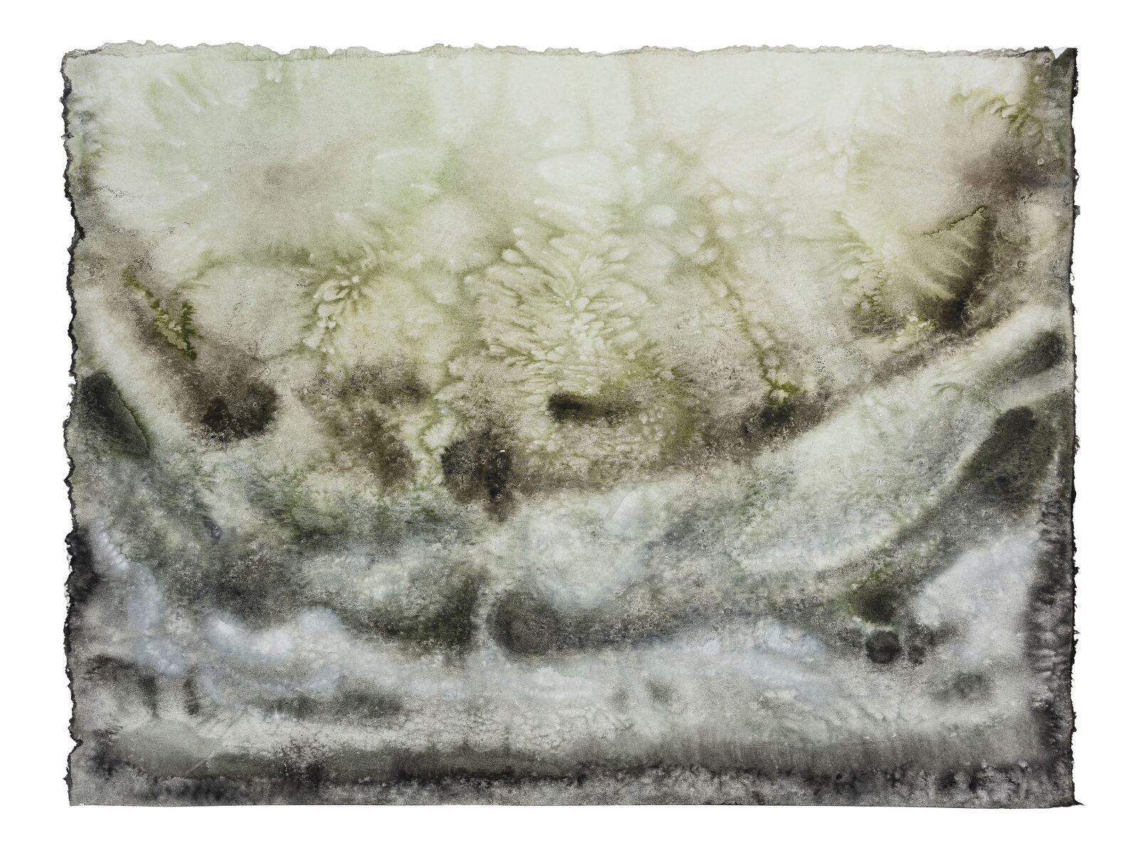 Deep, at the Beginning of Life by Samuel Alves de Jesus