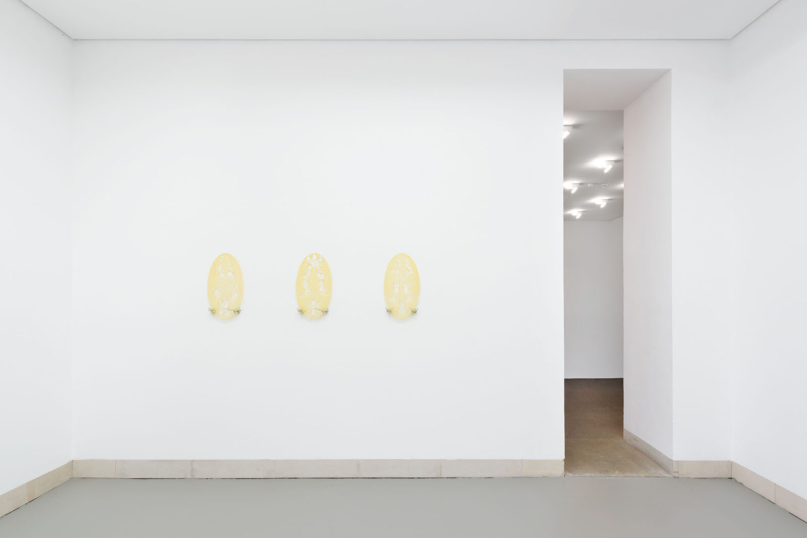 Veil (Elliptical Edition) by Leon Simonis – installation view