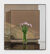 Ranunculus by Michael Wilkinson