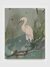 Waterfowl by Fu Nagasawa