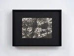 本命年 by Ann Zhao – detail view