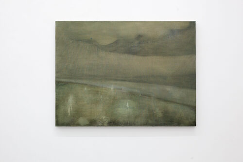 View featured artwork Marshlands by Martin Aagaard Hansen
