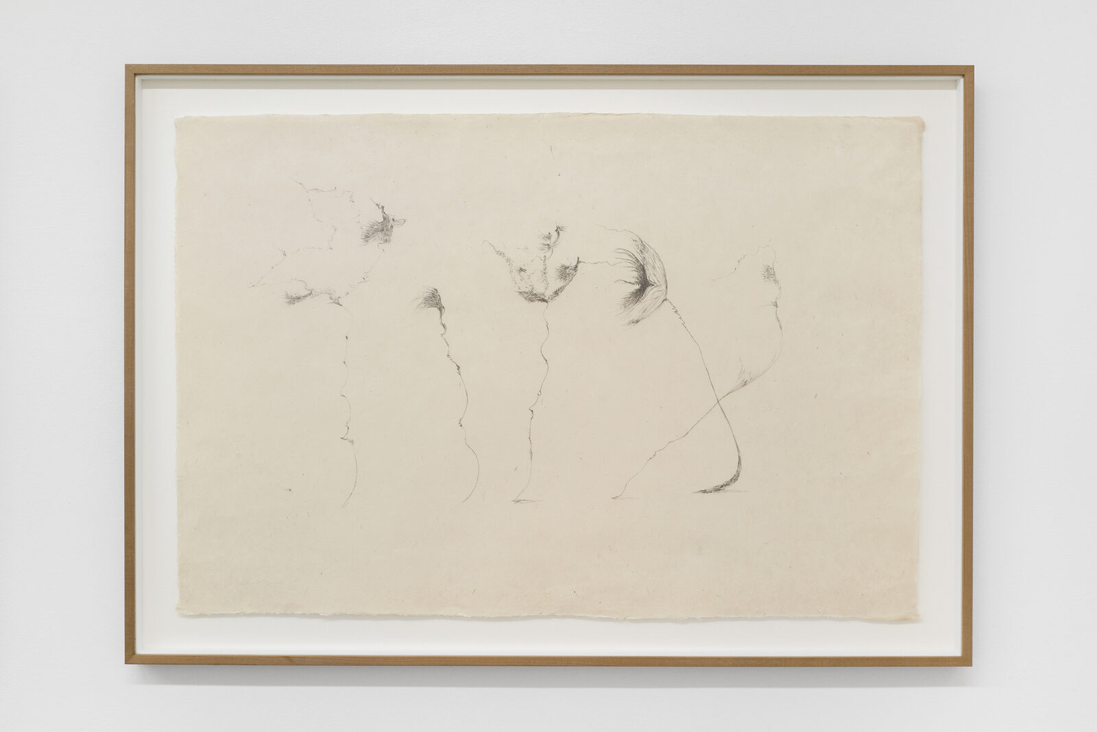 Image gallery Relevé II by Valentina Bartolini