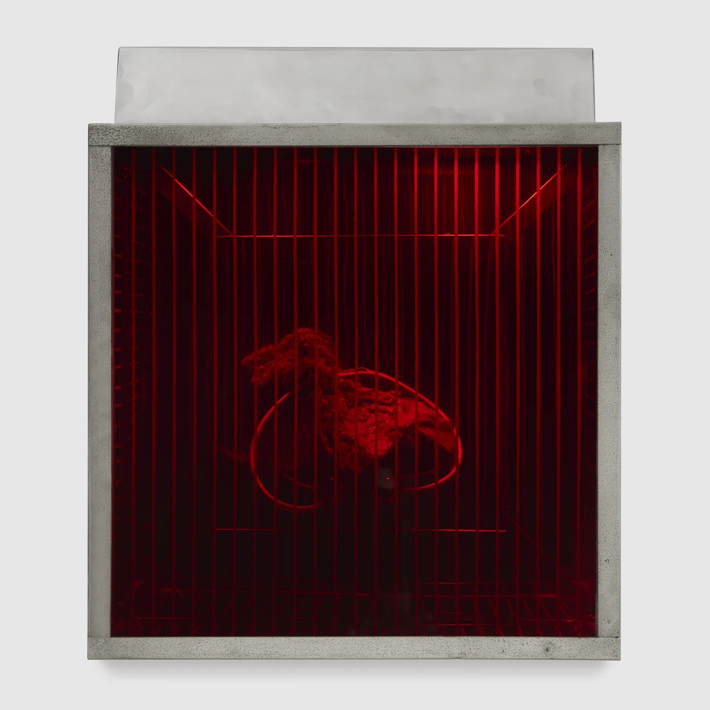 Image gallery Red Shrine (from the series "Technological Reliquaries") by Paul Thek