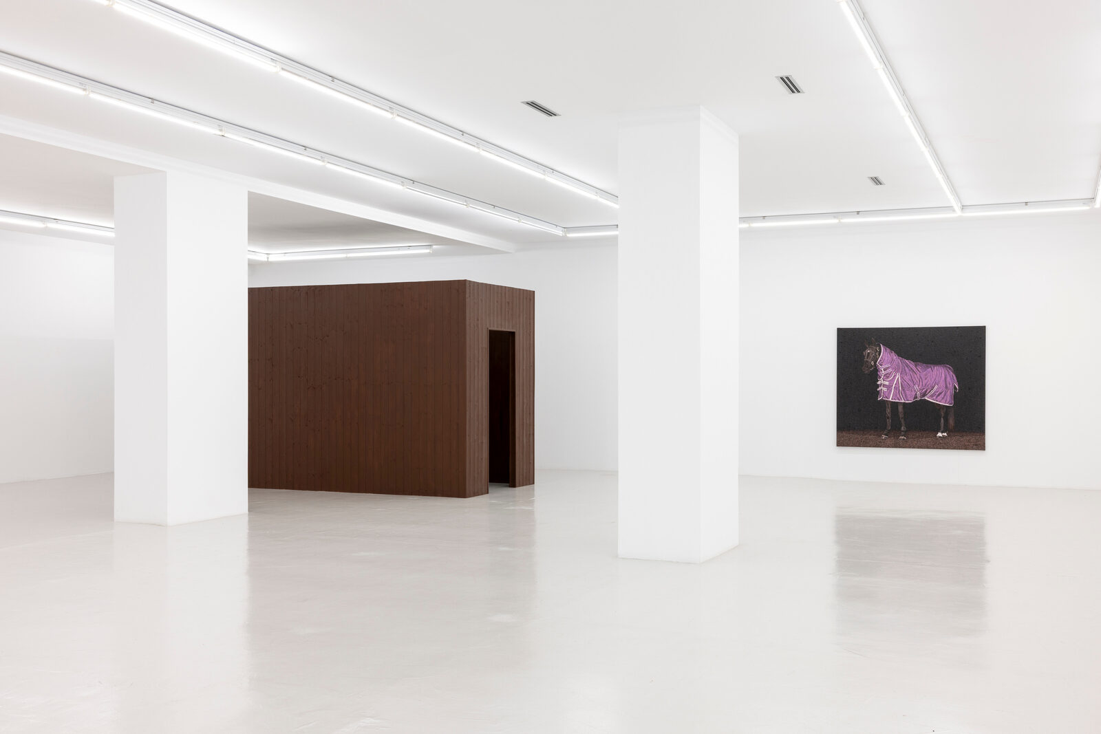 Image gallery Installation view of "Anticamere" by Norberto Spina