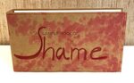 A Sample Book Of Shame by Imke Kreiser