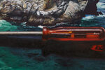 McWay Cove with Screwdriver by Adam Higgins – detail view