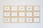 Herbarium by Philipp Valenta – installation view