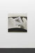 Polsprung by Jutta Koether – installation view