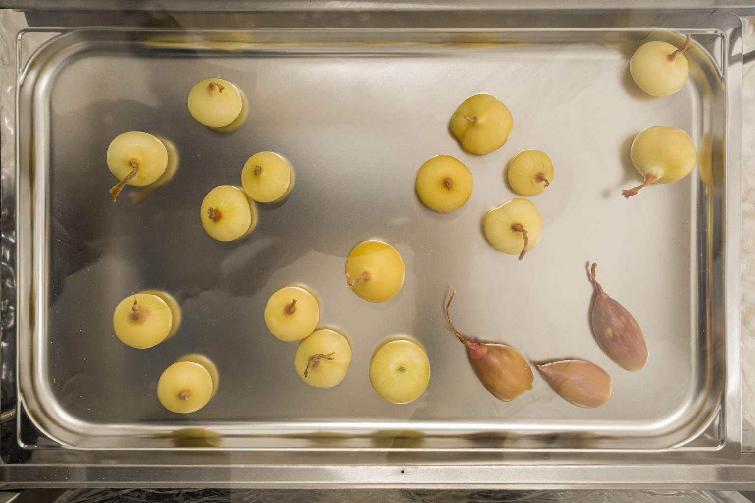 nanas [lullabies] by digestivo