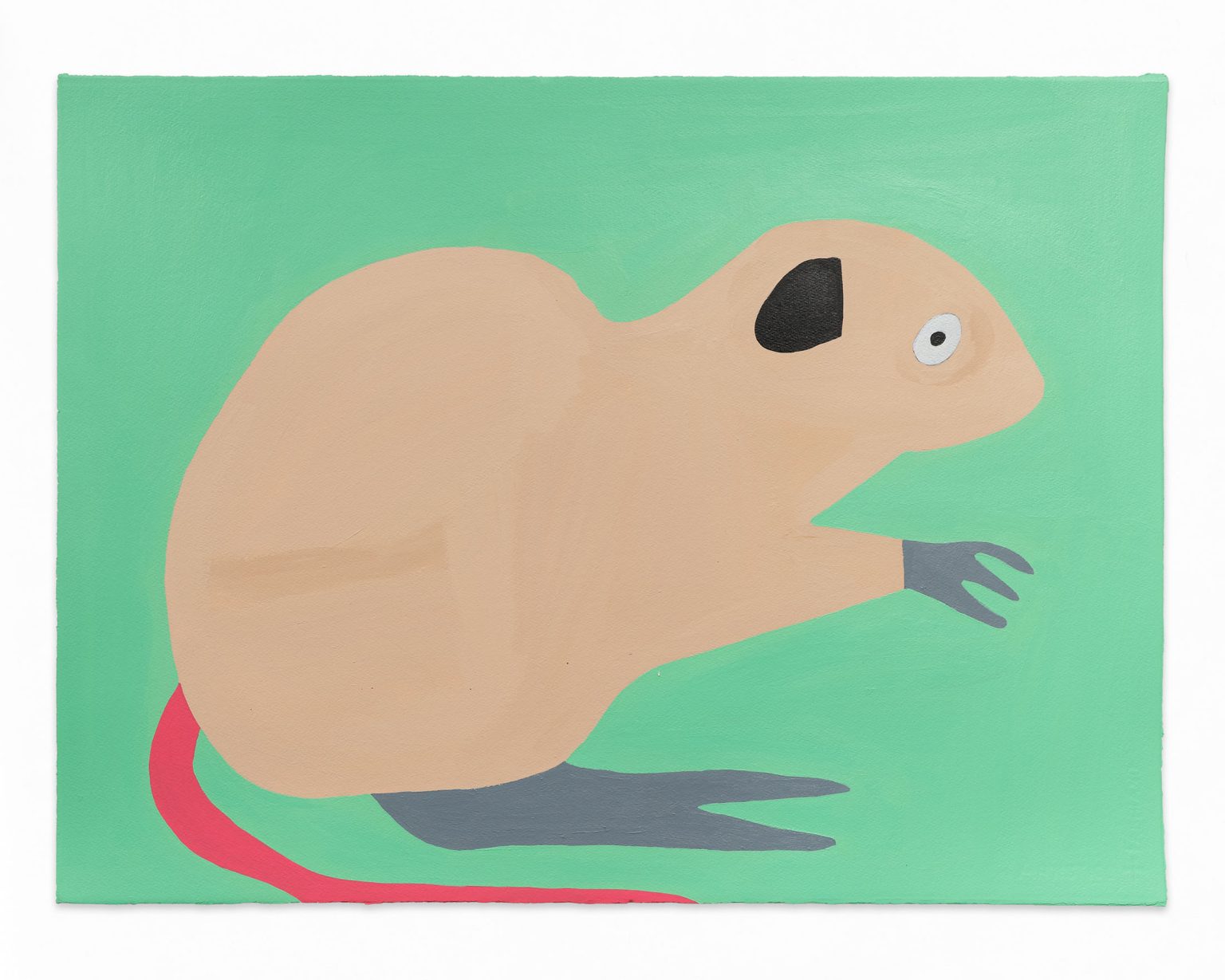 Muskrat by Saul Alegria