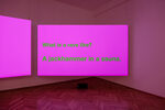 SM BNGRZ.04–06 by Tony Cokes – installation view