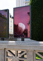 View artwork