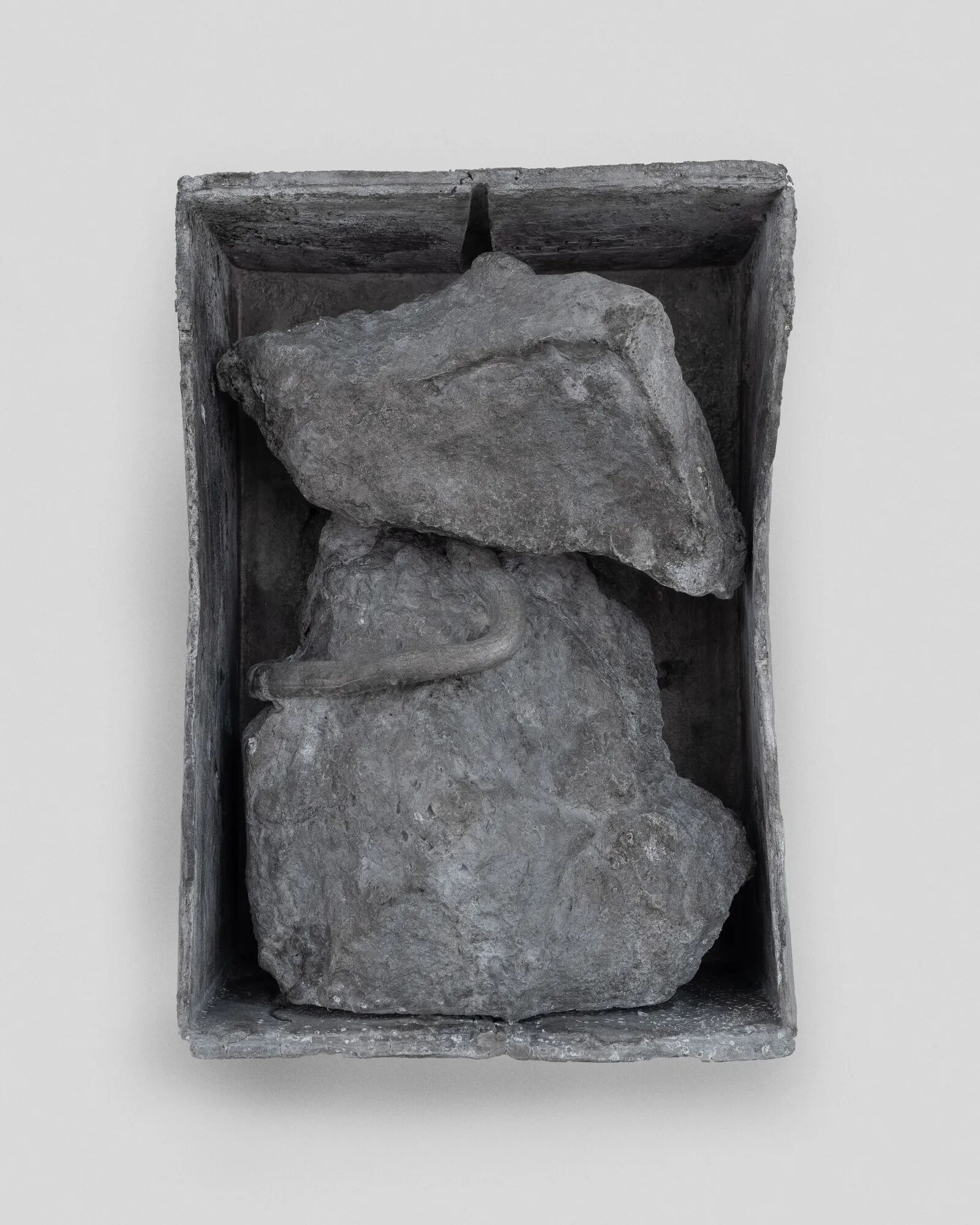 Orden cósmico by Tomás Díaz Cedeño