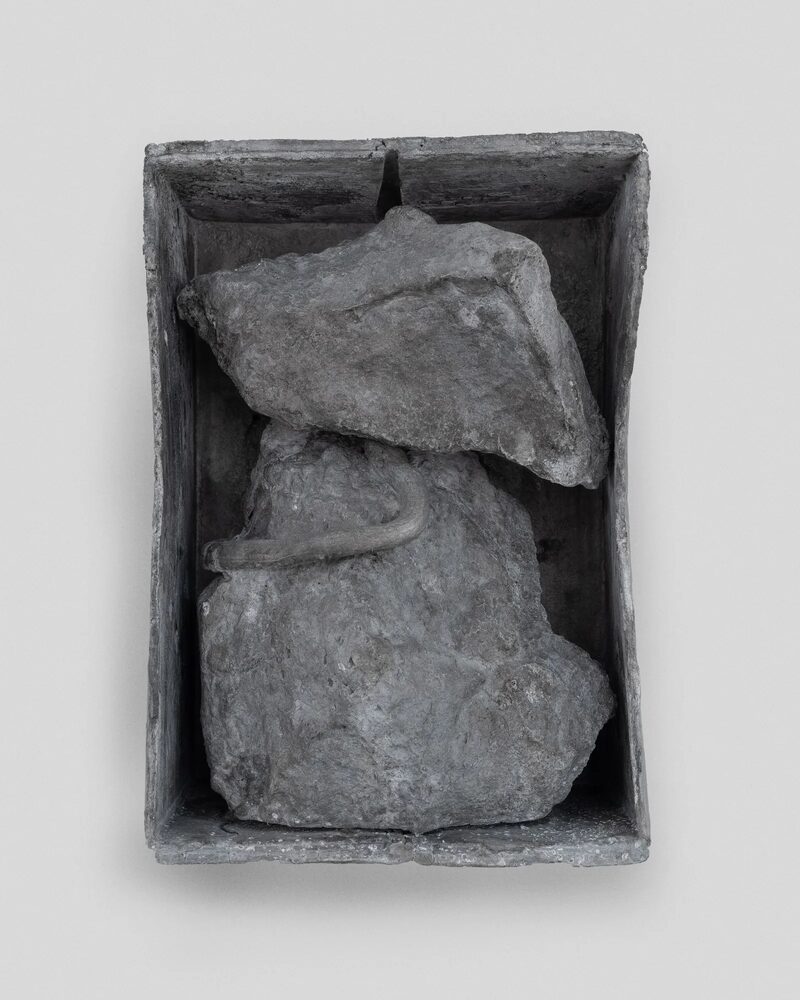 Featured artwork Orden cósmico by Tomás Díaz Cedeño