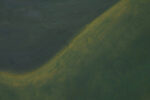 Untitled by Emil Michael Klein – detail view