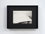 本命年 by Ann Zhao – detail view