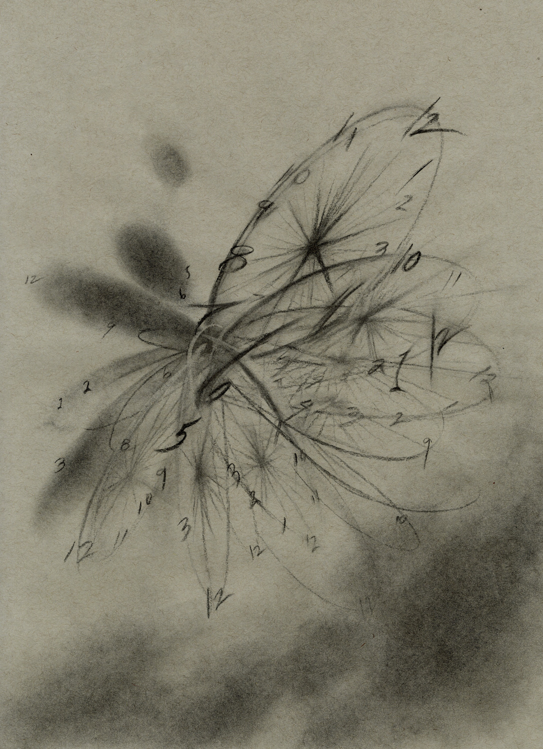 Petals by Qian Cheng