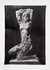 Venus by Shannon Bool