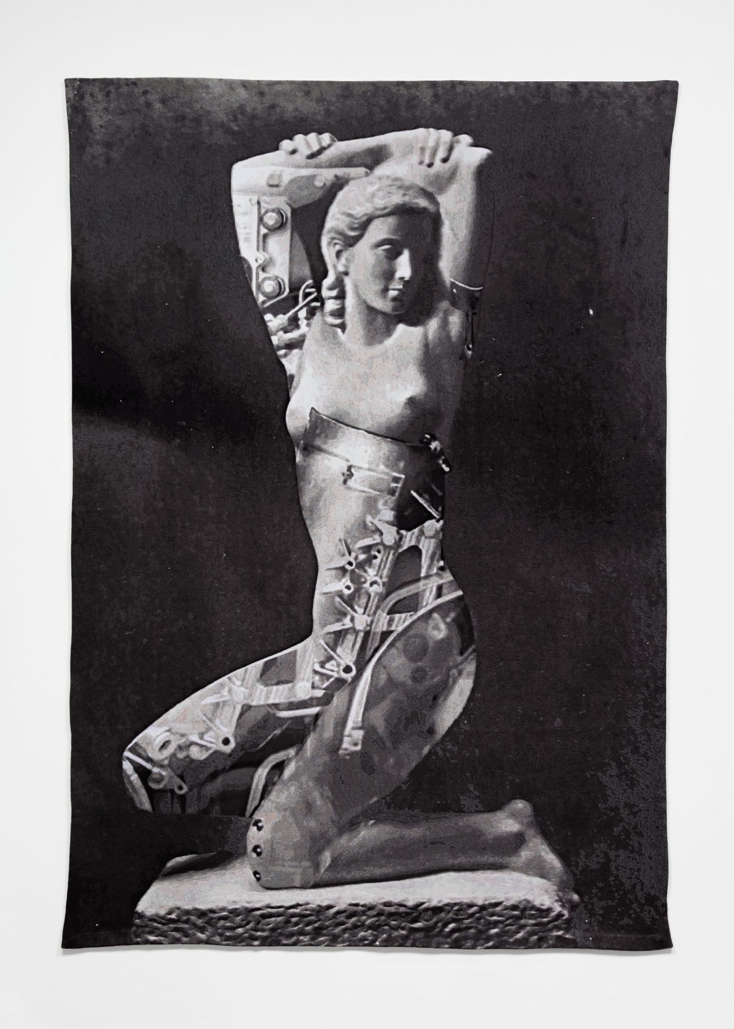 Venus by Shannon Bool