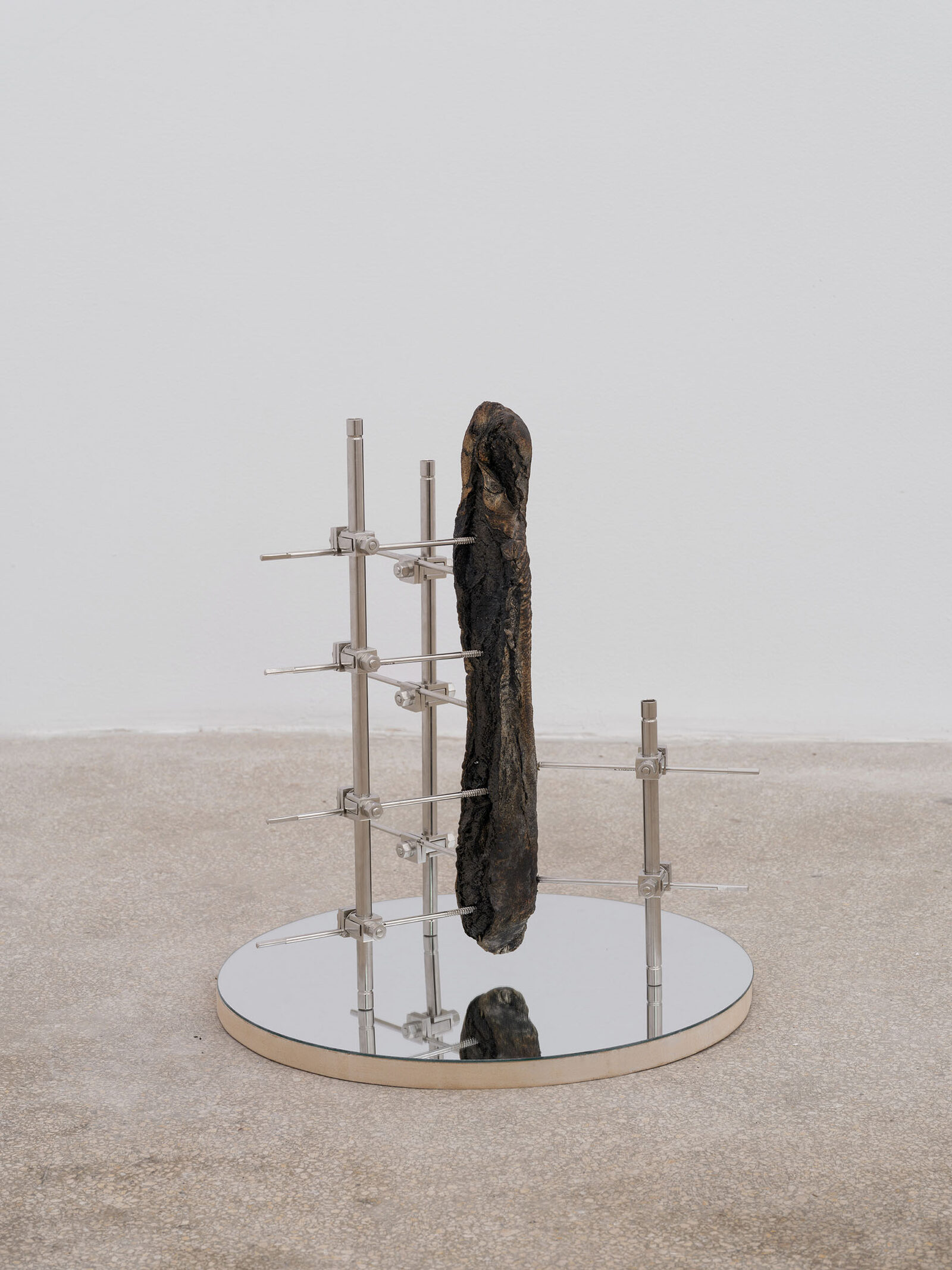 Apparatus of persistence by Nicolás Lamas – installation view