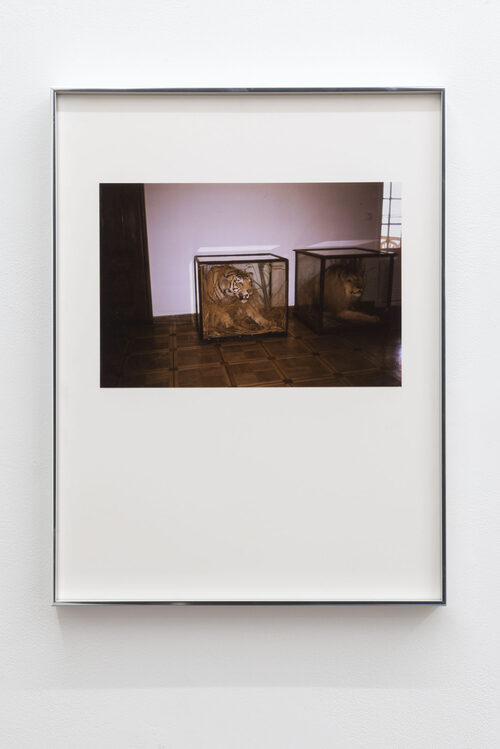 View featured artwork Writer house Tbilisi by Valerie Giampietro
