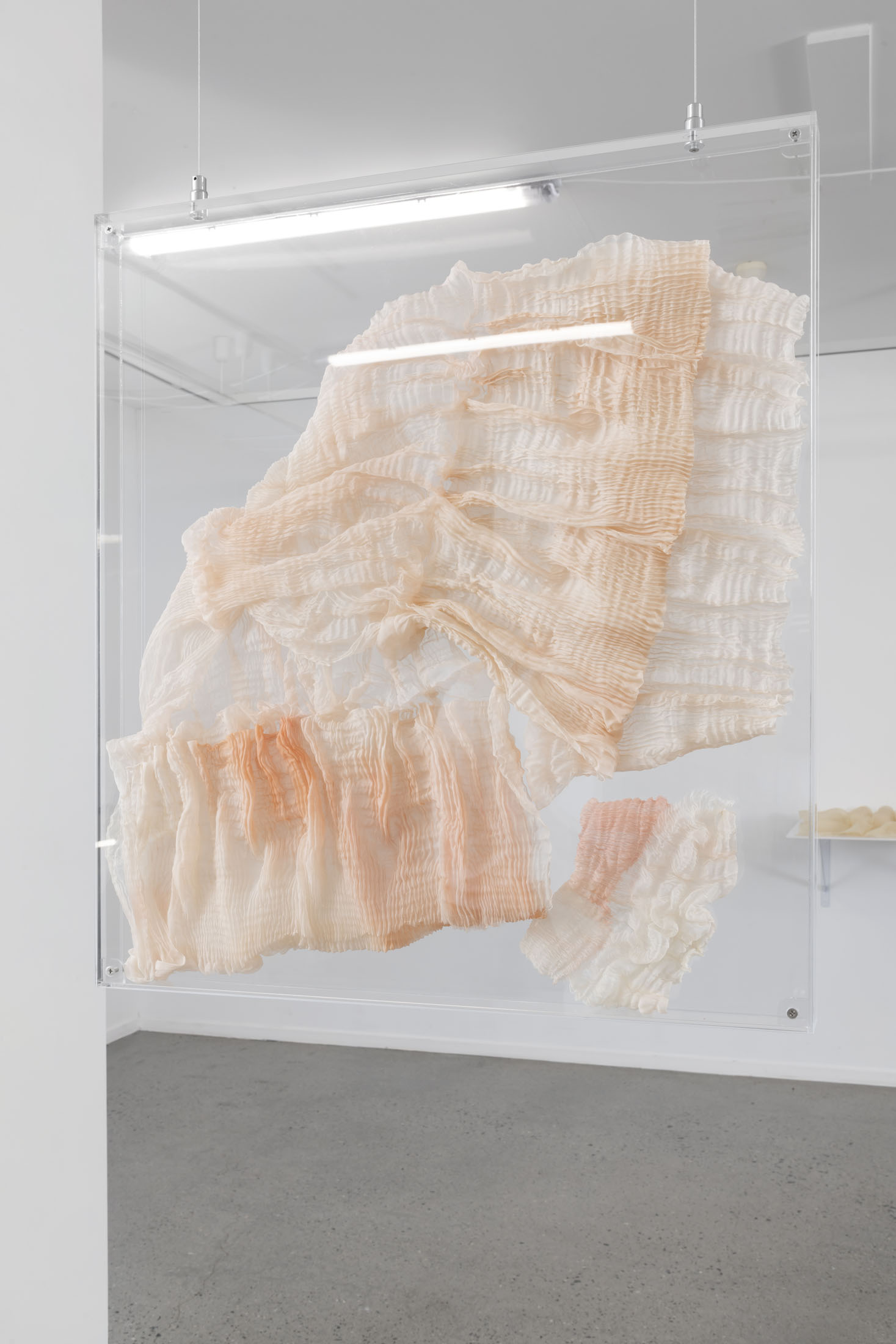 In vitro III by Sarah Vajira Lindström – installation view