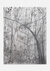 Wintertrees (light) by Silke Otto-Knapp