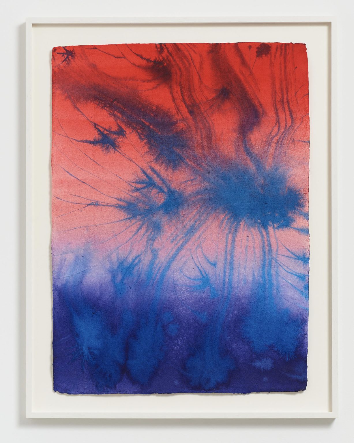 Untitled (Flower painting V005_24) by David Roth