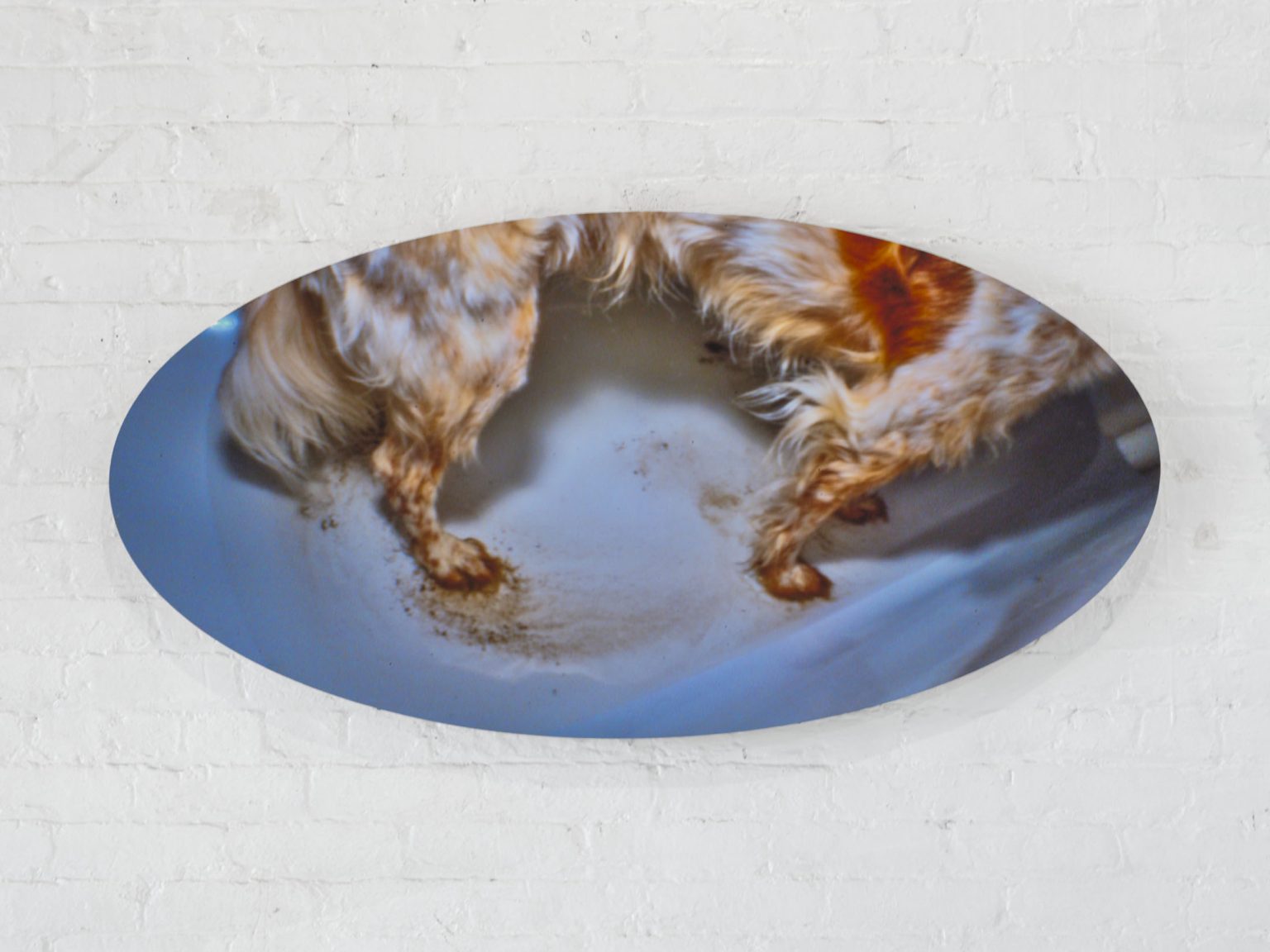 Image gallery Untitled (Enzo Badewanne) by Paul Levack – installation view