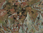 In Search of the Present (C & H + …) by Trương Công Tùng – detail view
