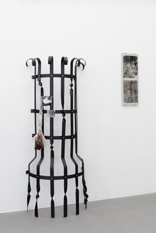 View featured artwork Baumschutzkörbe (Support Systems) by Jesse Ly and Aubrey Theobald