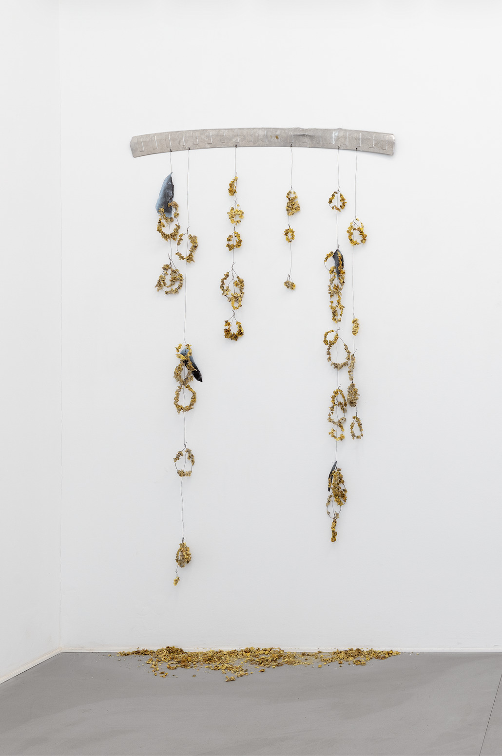 Image gallery Ribs by Aubrey Theobald