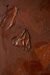 The Birds are Sleeping with Their Eyes Open by Anastasia Pavlou – detail view