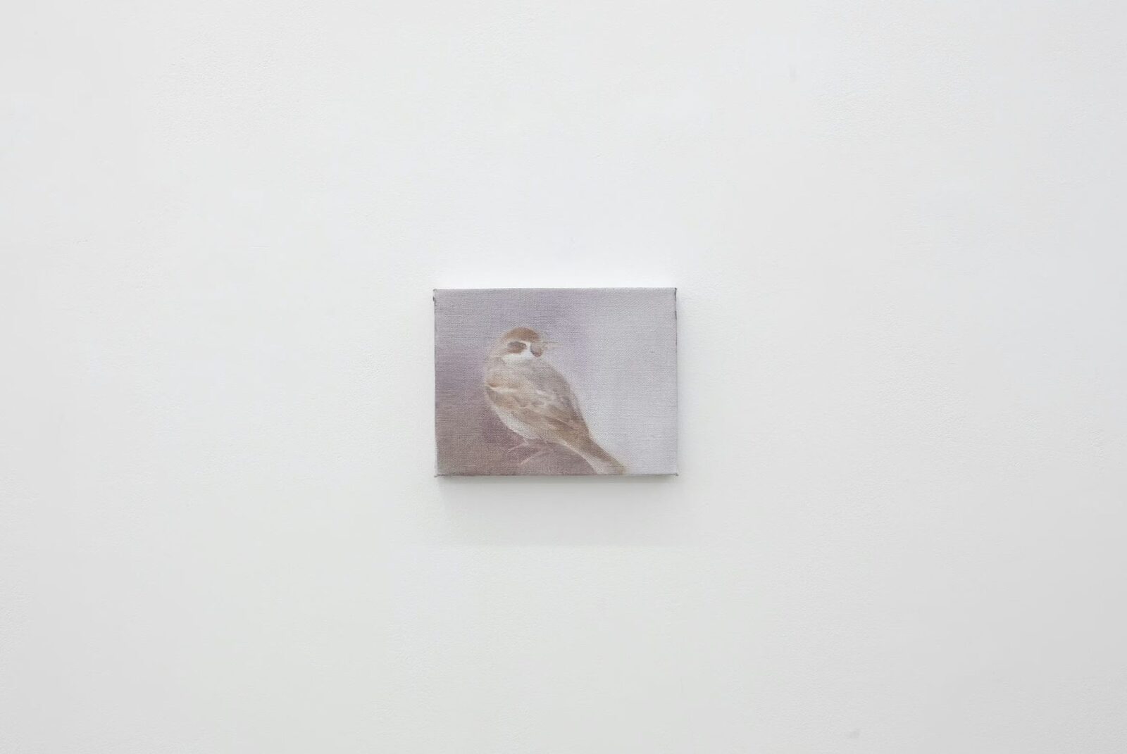 sparrow in the evening by Aya Higuchi