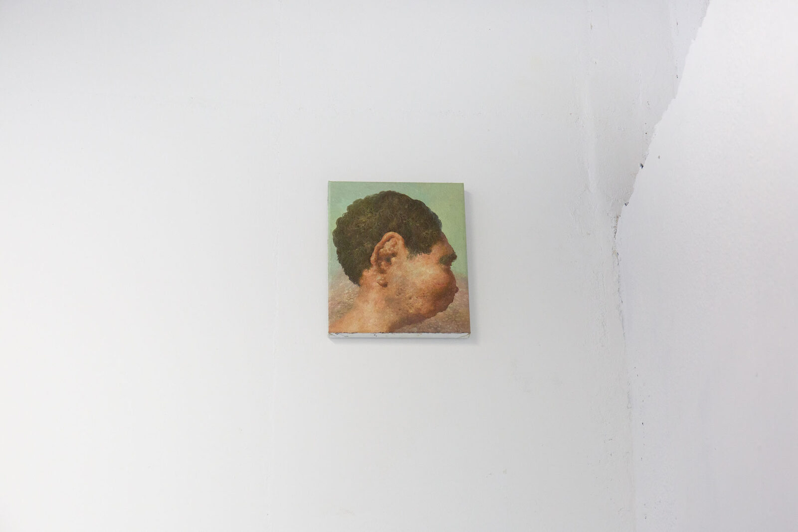 Image gallery Inhabitant by Esteban Igartua – installation view