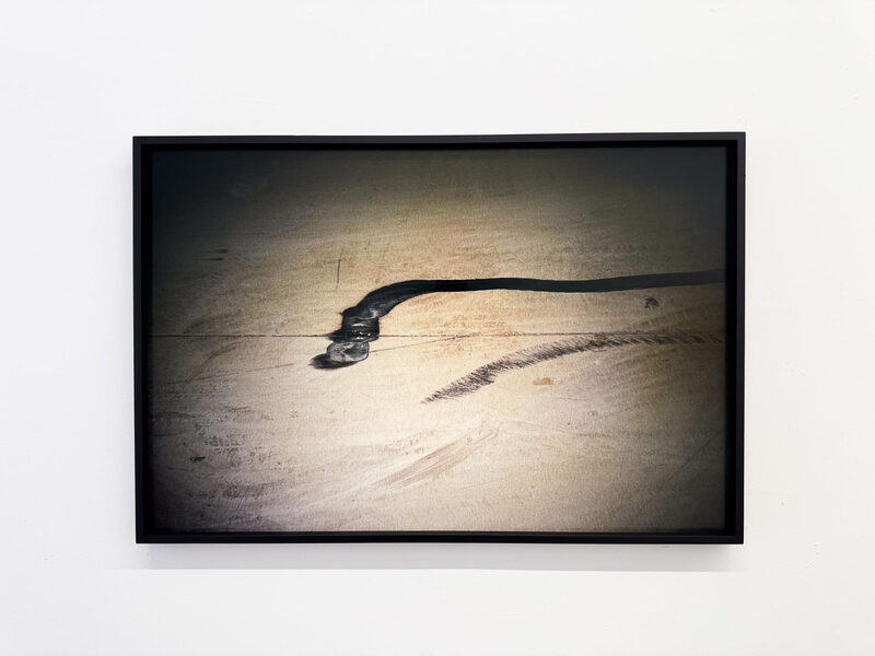 Featured artwork Untitled by Etty Schwartz