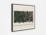 U.S. Steel (Poster for Ecology Center) by Ariel Parkinson – installation view
