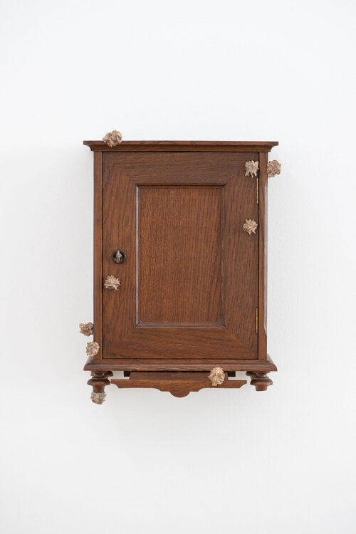 View featured artwork Cabinet I (Gallen) by Lea Grebe