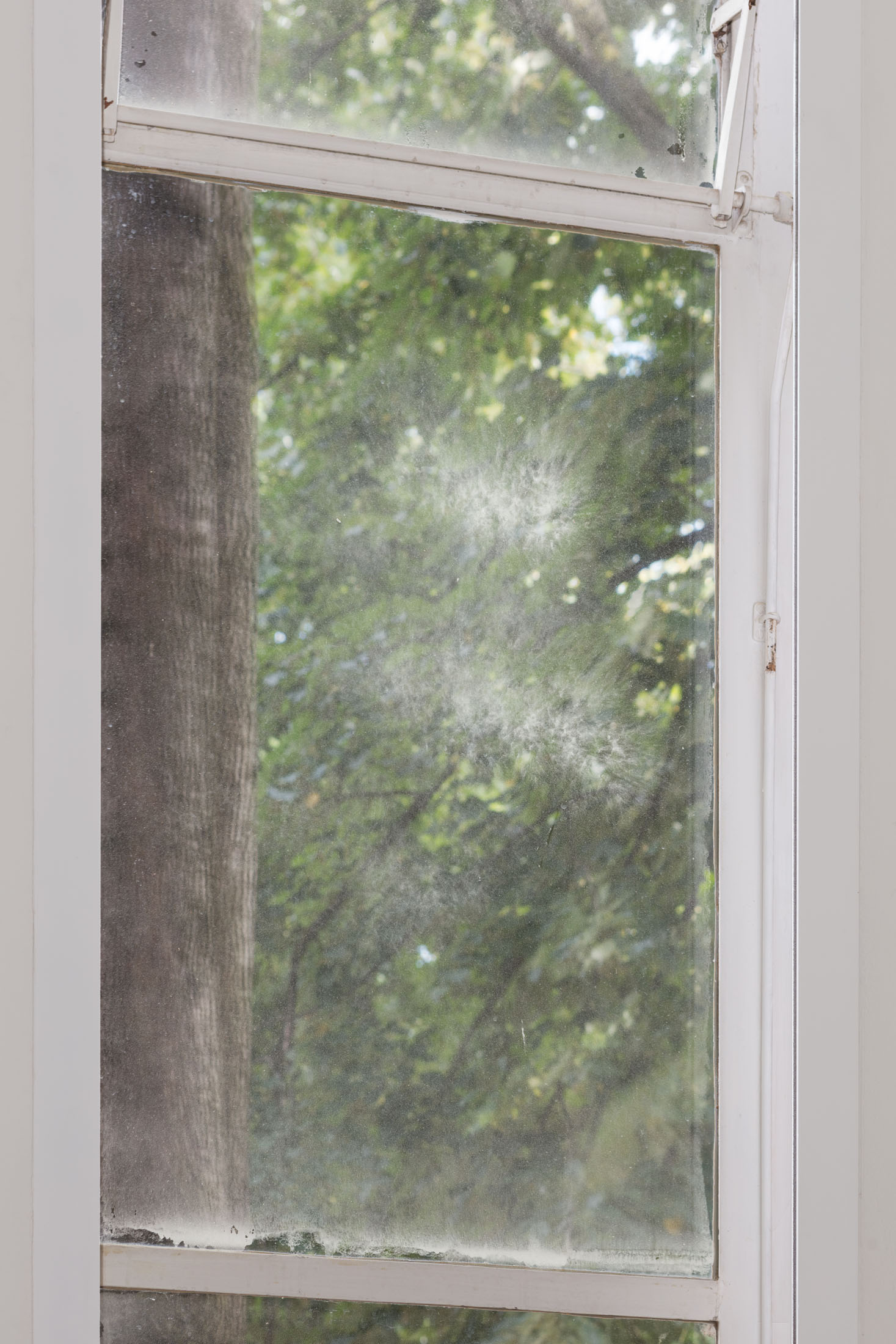 Image gallery Voyager by Vibeke Mascini – installation view