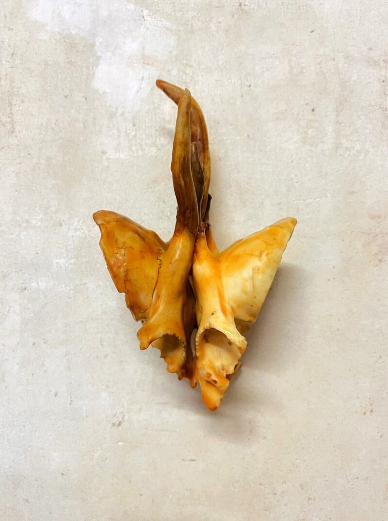 Featured artwork untitled by Carmine Antonio Iacolare