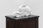 L’Eterna Urgenza by Tudor Ciurescu – installation view