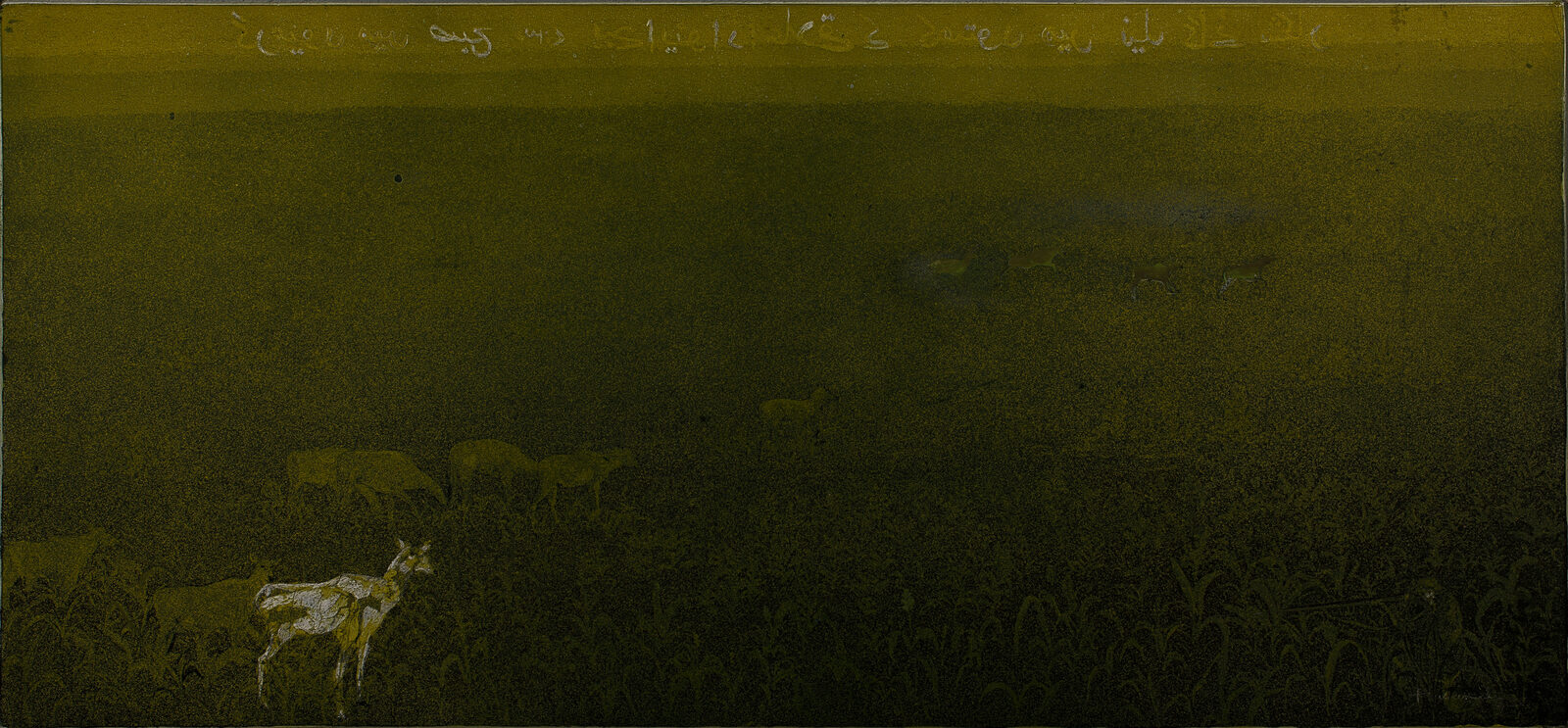 Image gallery Untitled by Hasan Ali Kadiwala