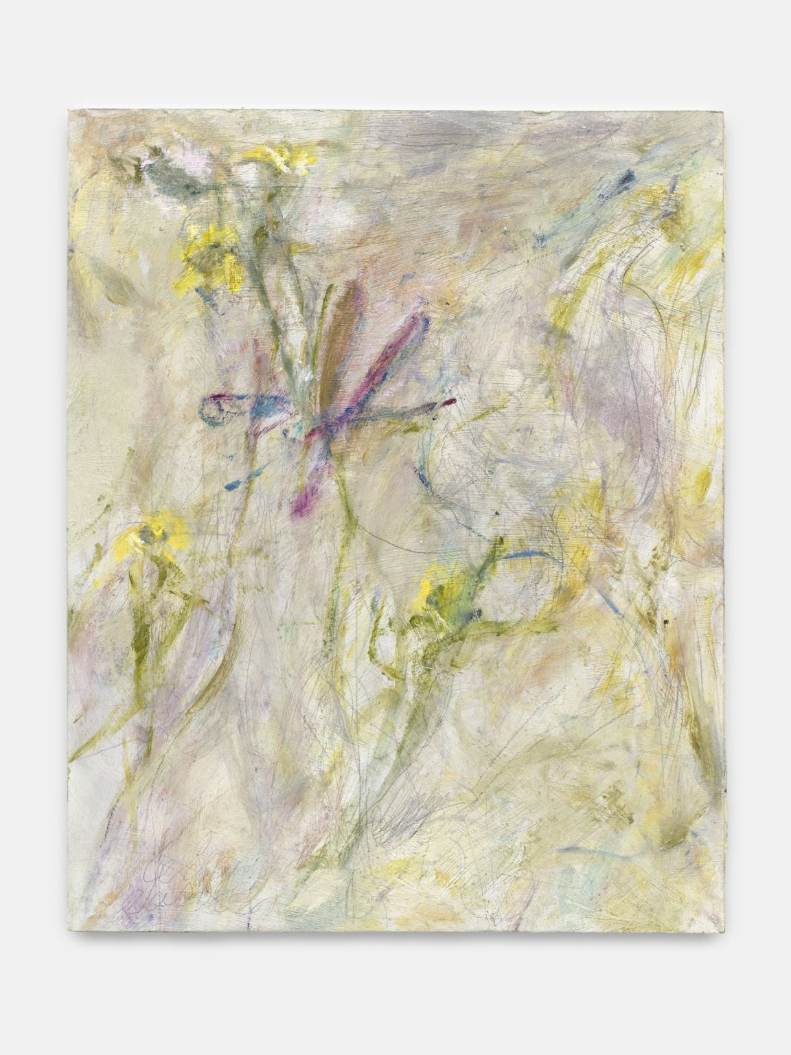 Image gallery Bluet by Willa Wasserman