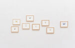 Herbarium by Philipp Valenta – installation view