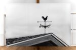 Weather Vane by Louisa Gagliardi – installation view