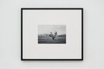 Untitled (“Phénix” by Georges Schneider, Delémont) 1960 by Maria Netter
