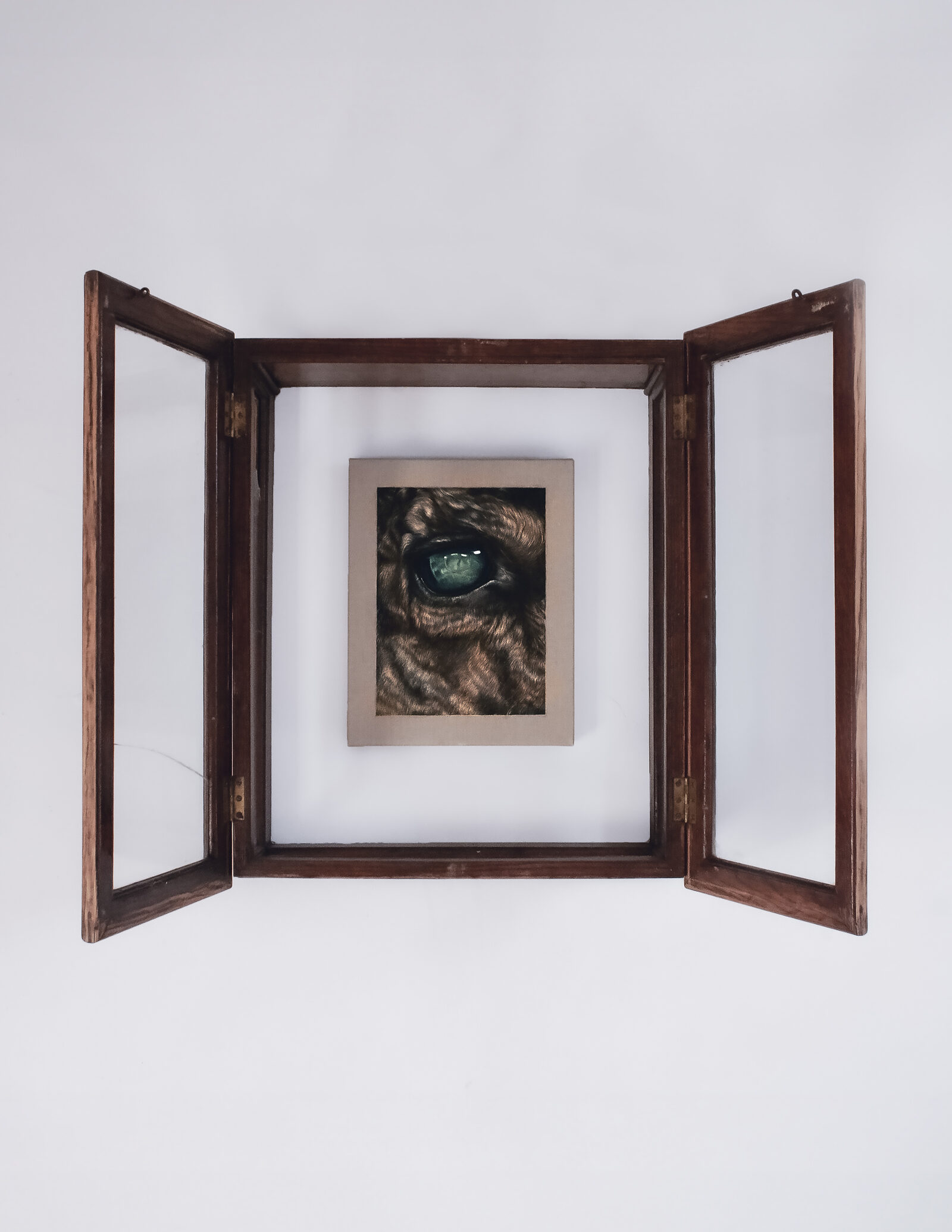 Glass Eye by Adelle Rawluk