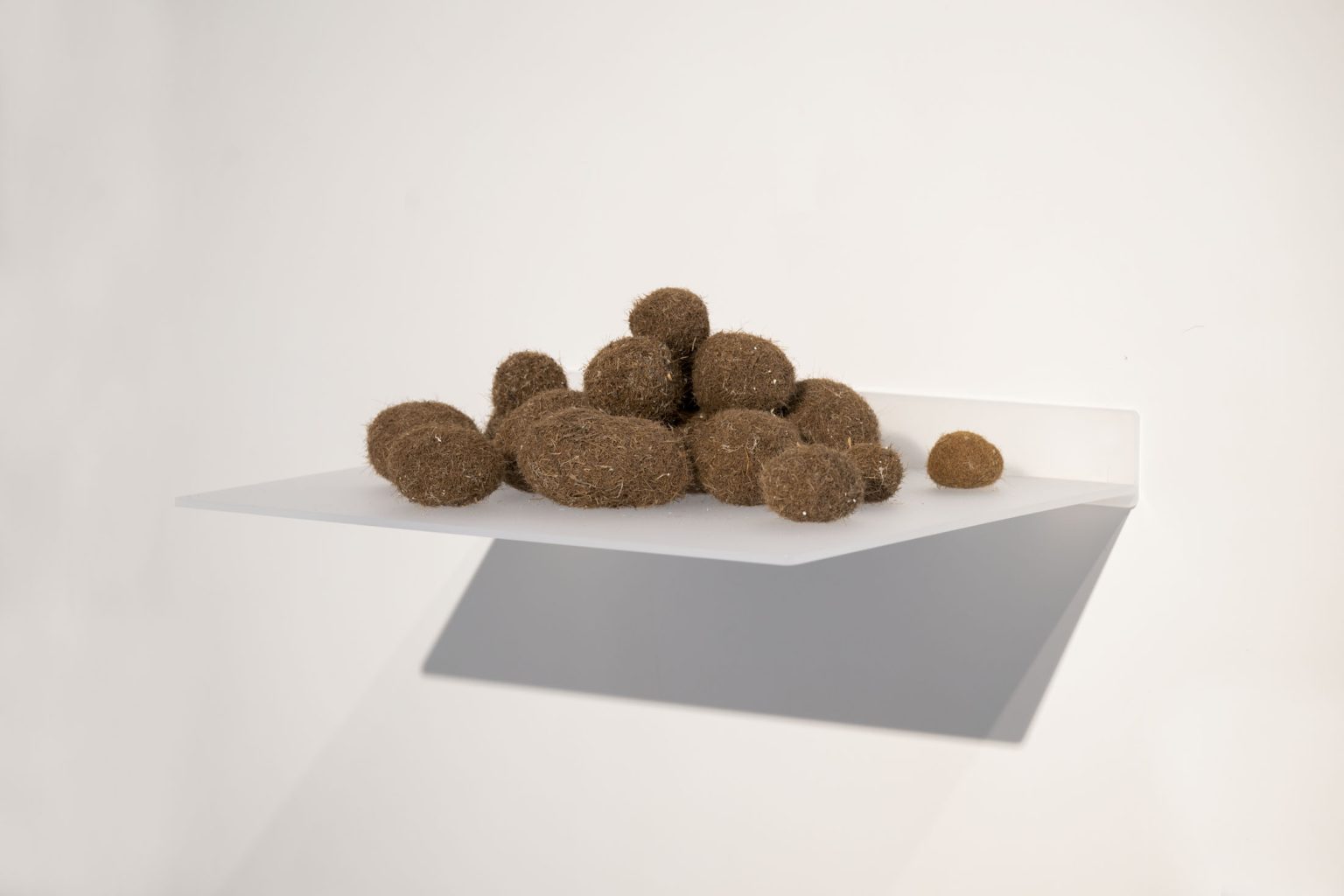 Treasure by Krassimir Terziev