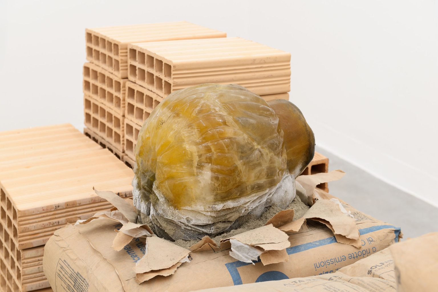 Image gallery SP4 by Stefano Canto